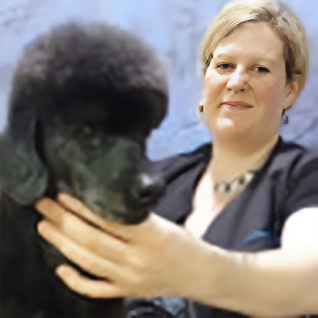 British Groomer of the Year 2004