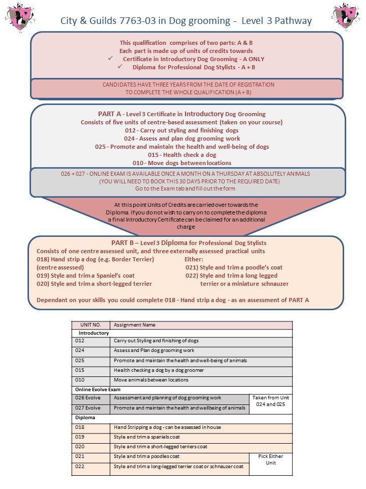 city and guilds 7763-03 in dog grooming - level 3 pathway