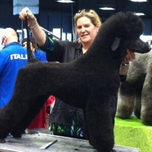 Heidi Groomania dog grooming