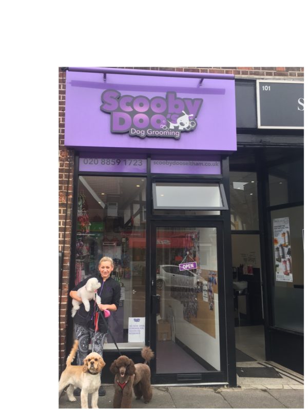 Dog Grooming and Cat Grooming in London, SE12 Absolutely Animals Ltd