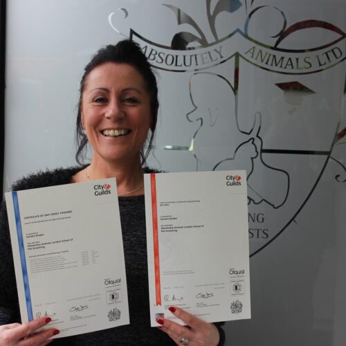 2016-03-24-12-55-48 city and guilds certificate
