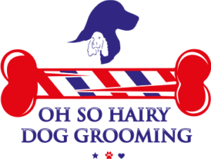 hairy dog grooming logo