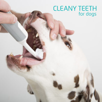 Shows a dog with Cleanyteeth 3 sided brush being used