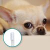 dog toothbrush