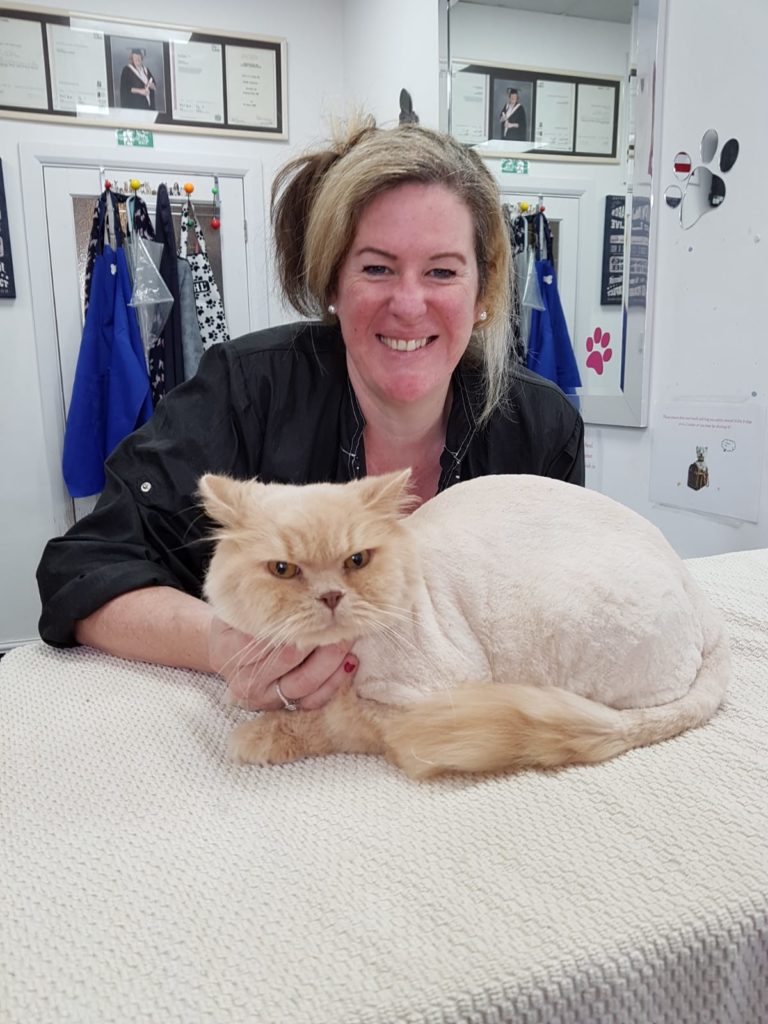 Cat Grooming London