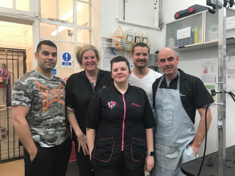 Dog Grooming Courses Absolutely Animals Ltd City and Guilds