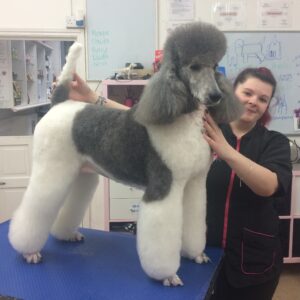 Dog Grooming with Christine Dog Grooming with Christine