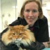 Cat Grooming course at Absolutely Animals