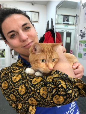 Cat Grooming course at Absolutely Animals