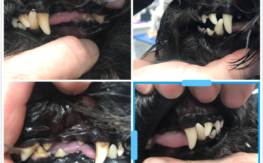 Before and After 3