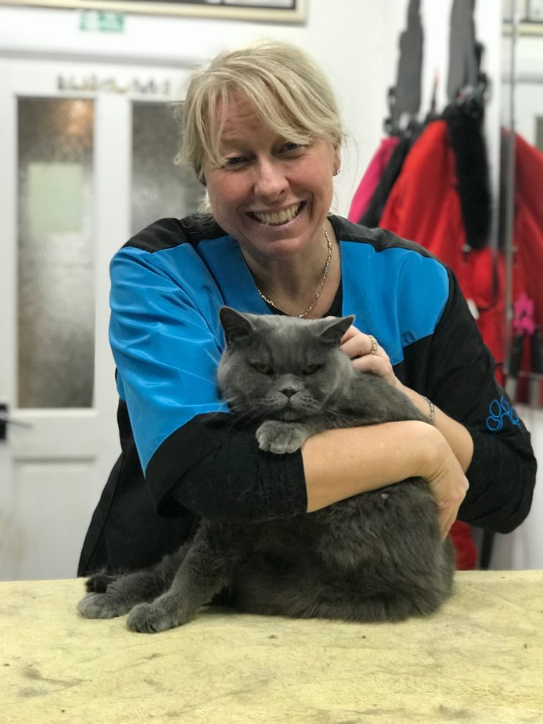 cat grooming student