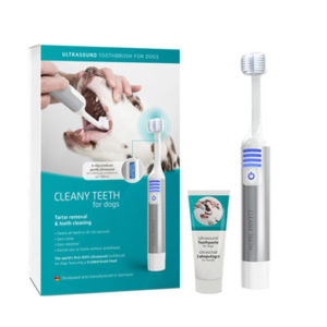 Teeth Cleaning for dogs