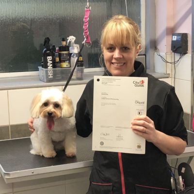 Dog grooming Courses Absolutely Animals