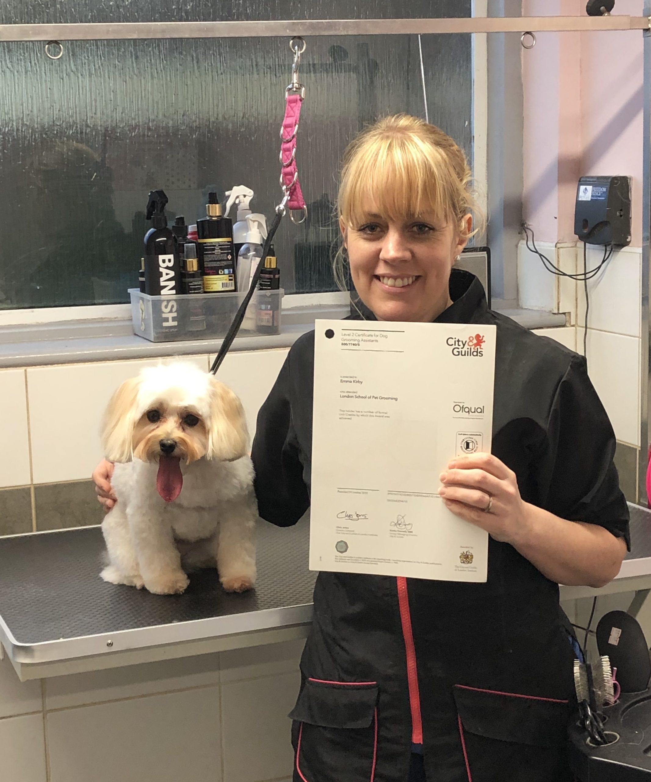 pet grooming school