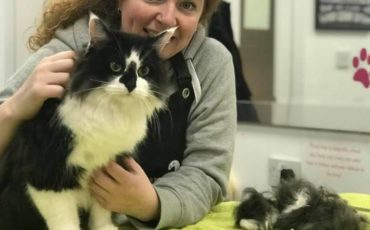 Sarah and Splodge's Cat Story 2020