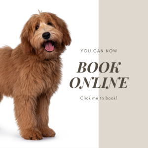 bookonline