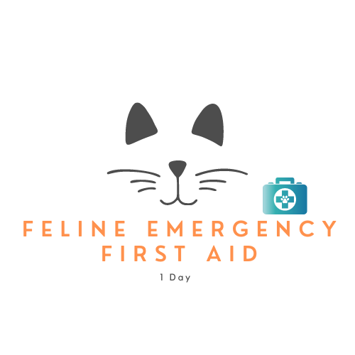 First-aid-1
