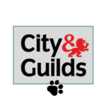 City and guilds logo in turquoise