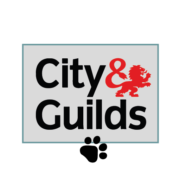 city-and-guilds-turquoise