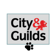 City and guilds logo in turquoise