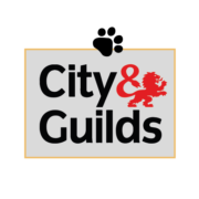 city and guilds course