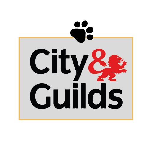 city and guilds course