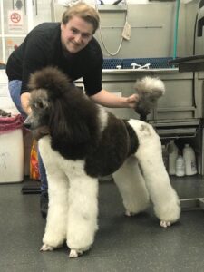 Partie-Poodle