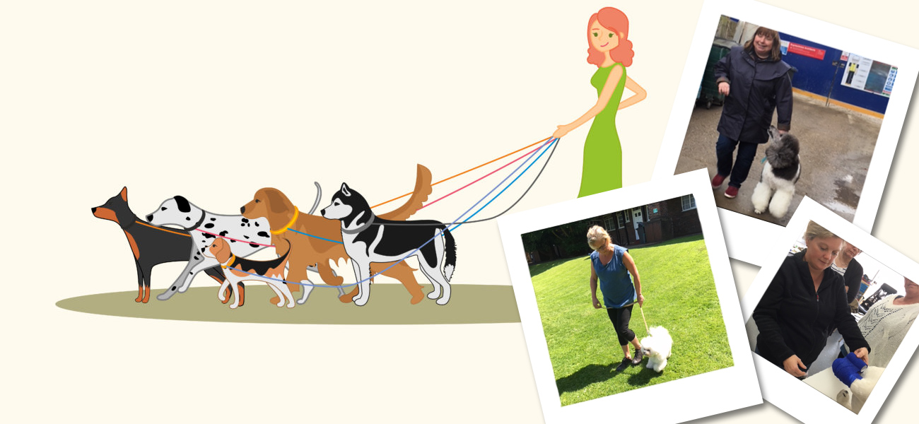 dog walking course