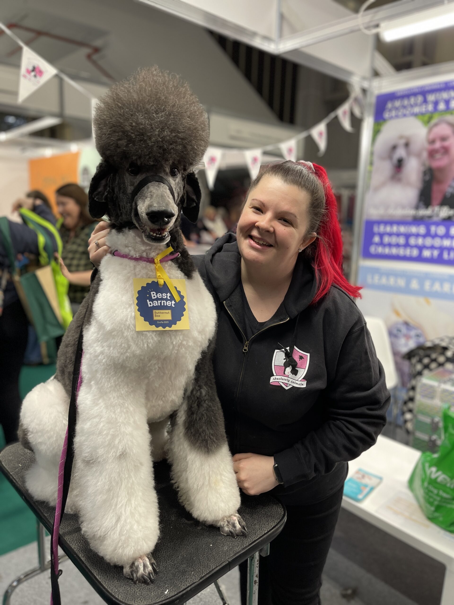 Absolutely Animals Wins Best at Crufts Absolutely Animals Ltd