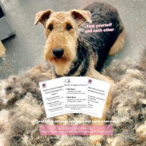 Flash Cards for Dog Grooming
