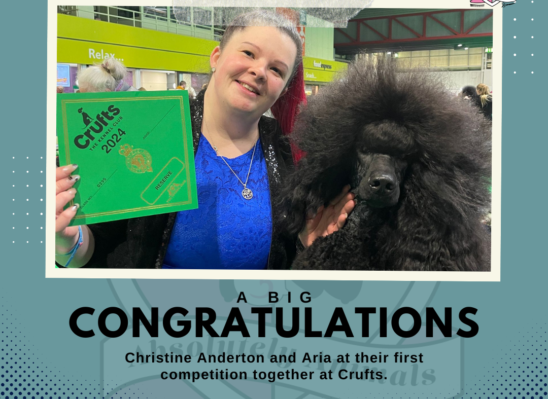 A big congratulations to Christine Anderton at Crufts with Aria!
