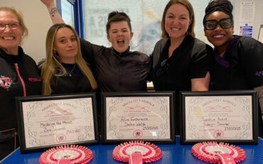 Start Your Dog Grooming Career with the City & Guilds Level 2 Certificate