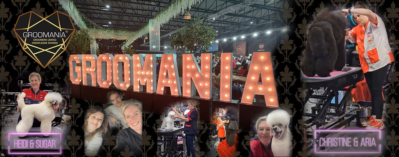 Groomania 2025