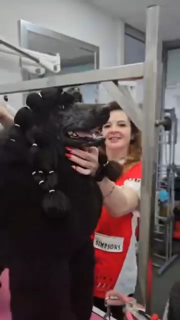 groomphoria_0031_Layer 136 groomphoria_0031_Layer 136