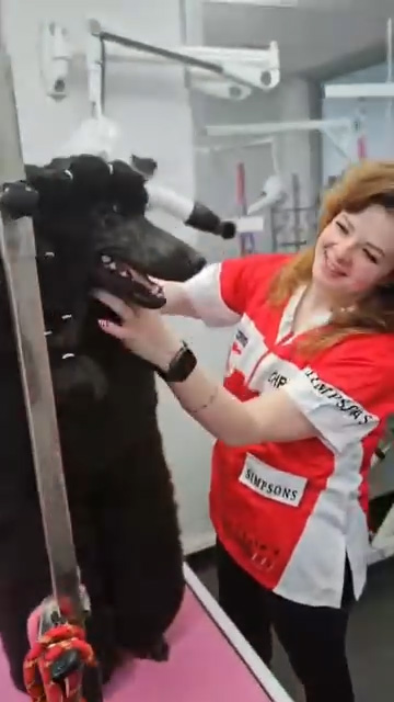 groomphoria_0038_Layer 129 groomphoria_0038_Layer 129