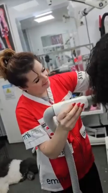 groomphoria_0104_Layer 63 groomphoria_0104_Layer 63