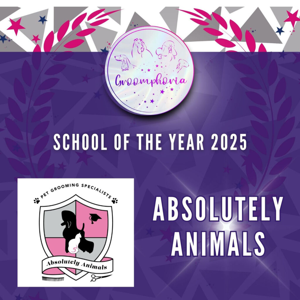 school of the year