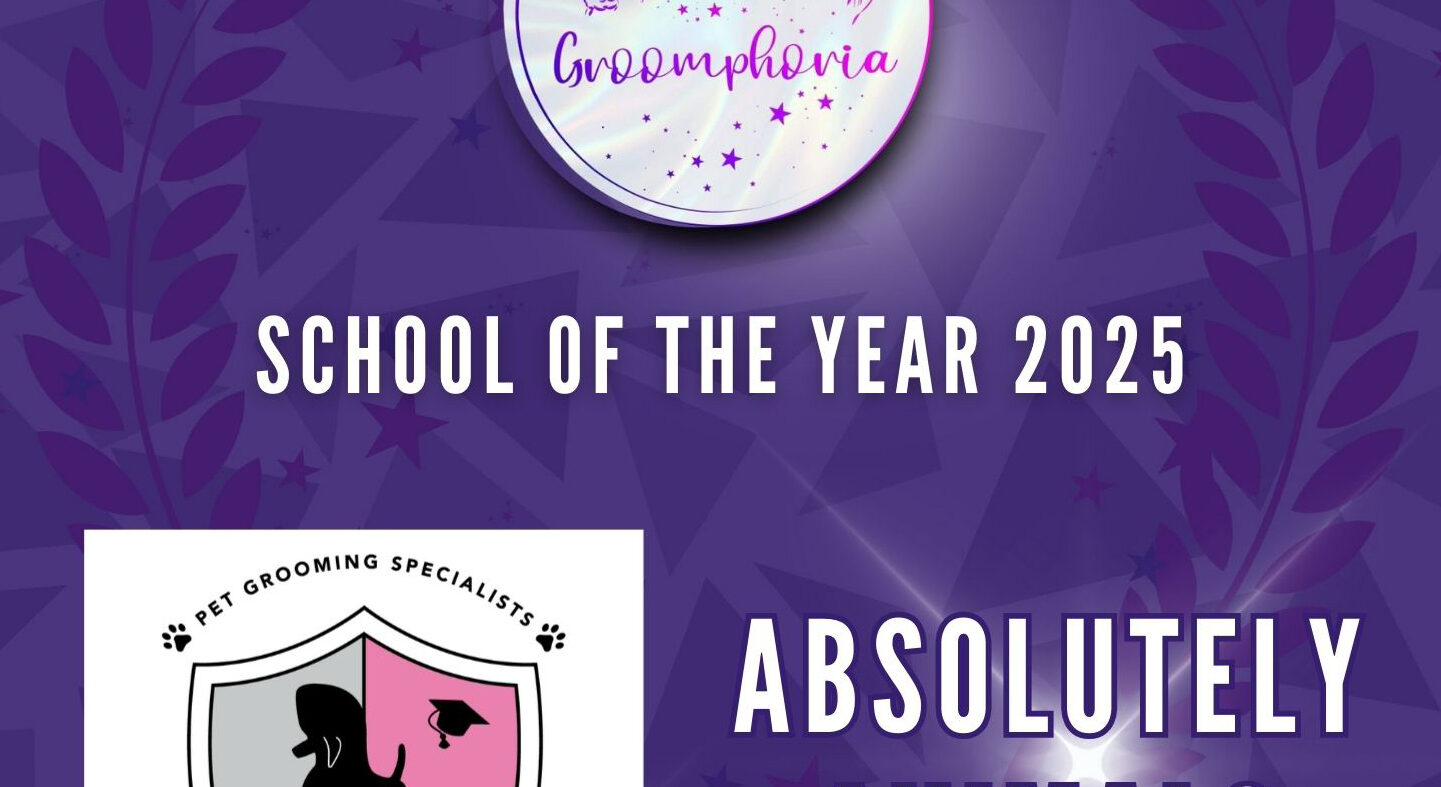 School of the Year 2025 - Groomphoria