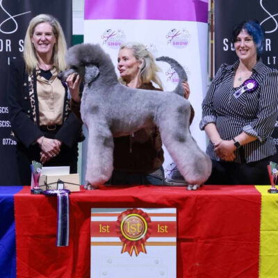 1st-place-grooming-award 1st-place-grooming-award