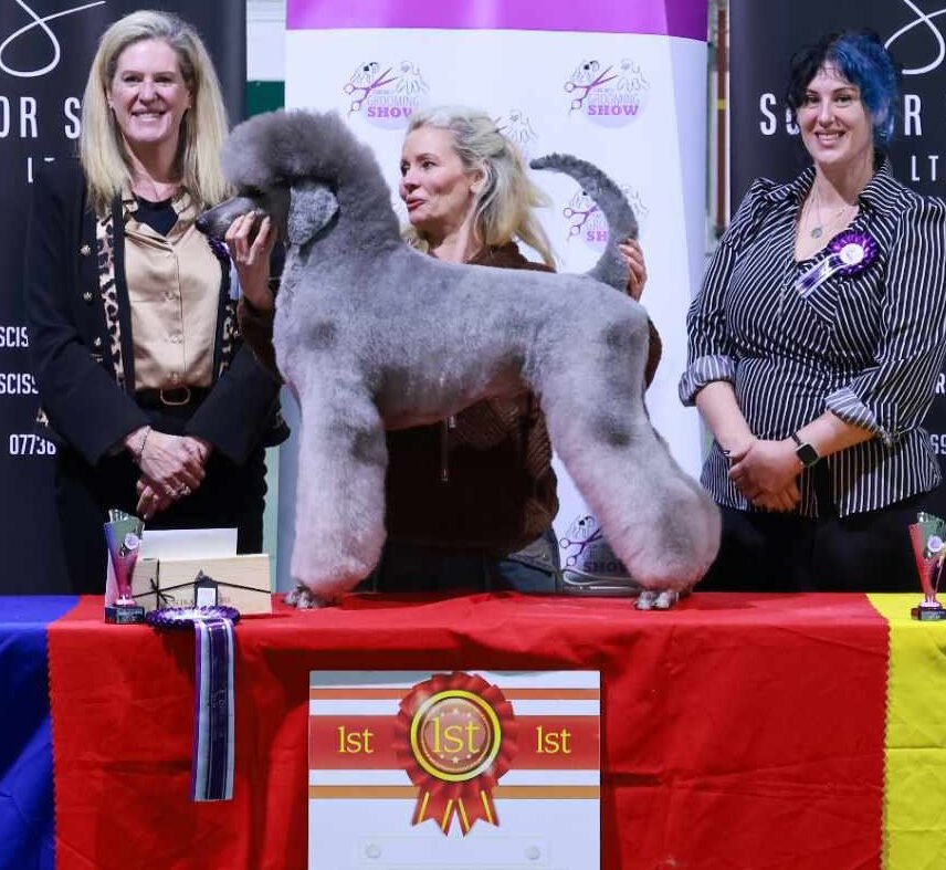 The Grooming Show - 1st Place Poodle Open!