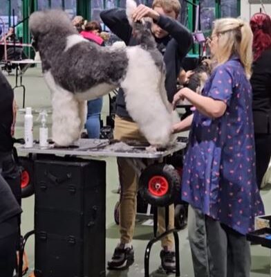 Callum-Tracey-1 Callum-Tracey-1