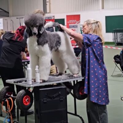 Callum-Tracey-2 Callum-Tracey-2