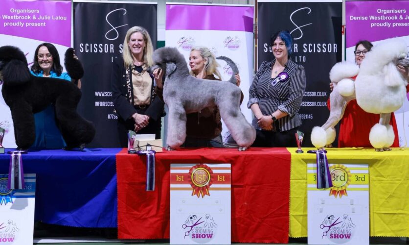 Heidi Anderton Judge Heidi Anderton Judge