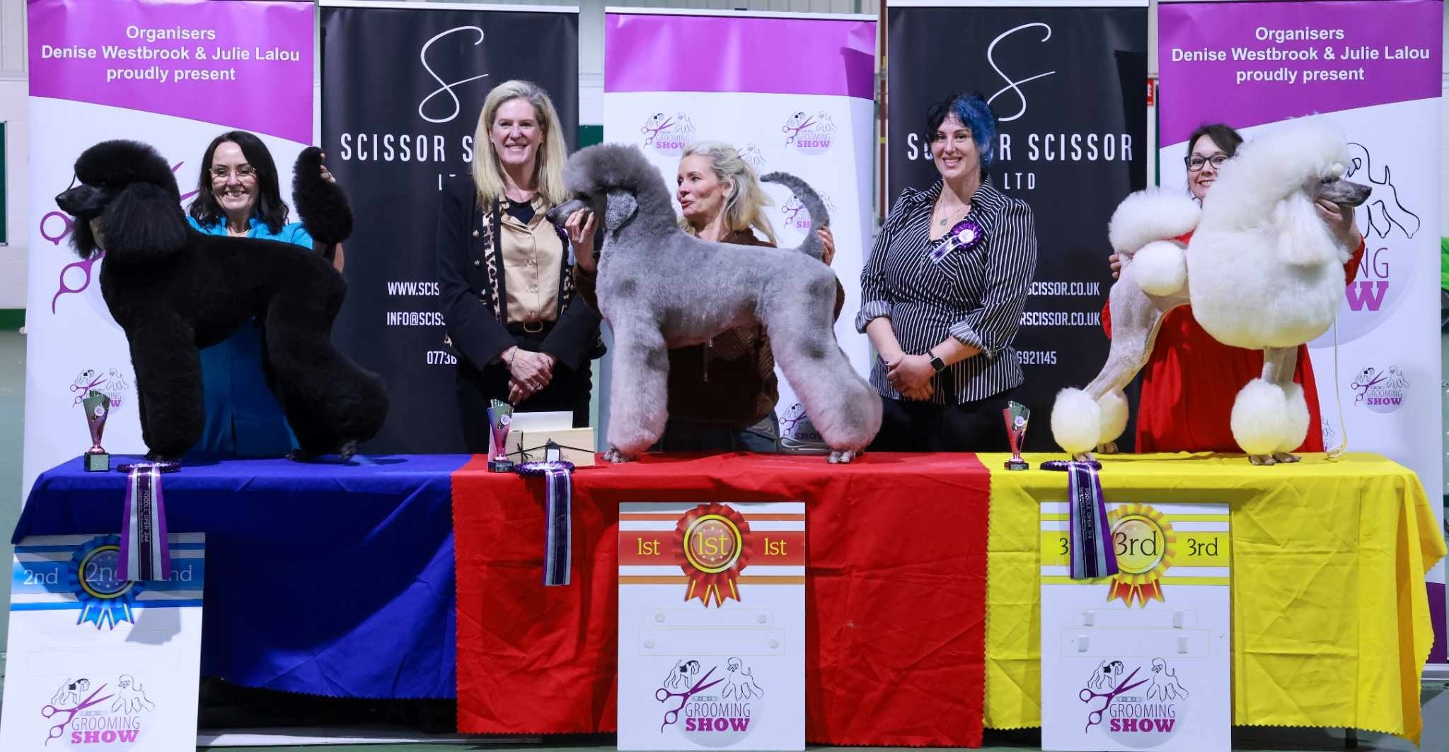 Heidi Anderton Judge