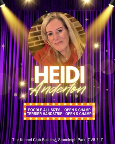 Heidi Anderton Heidi Anderton