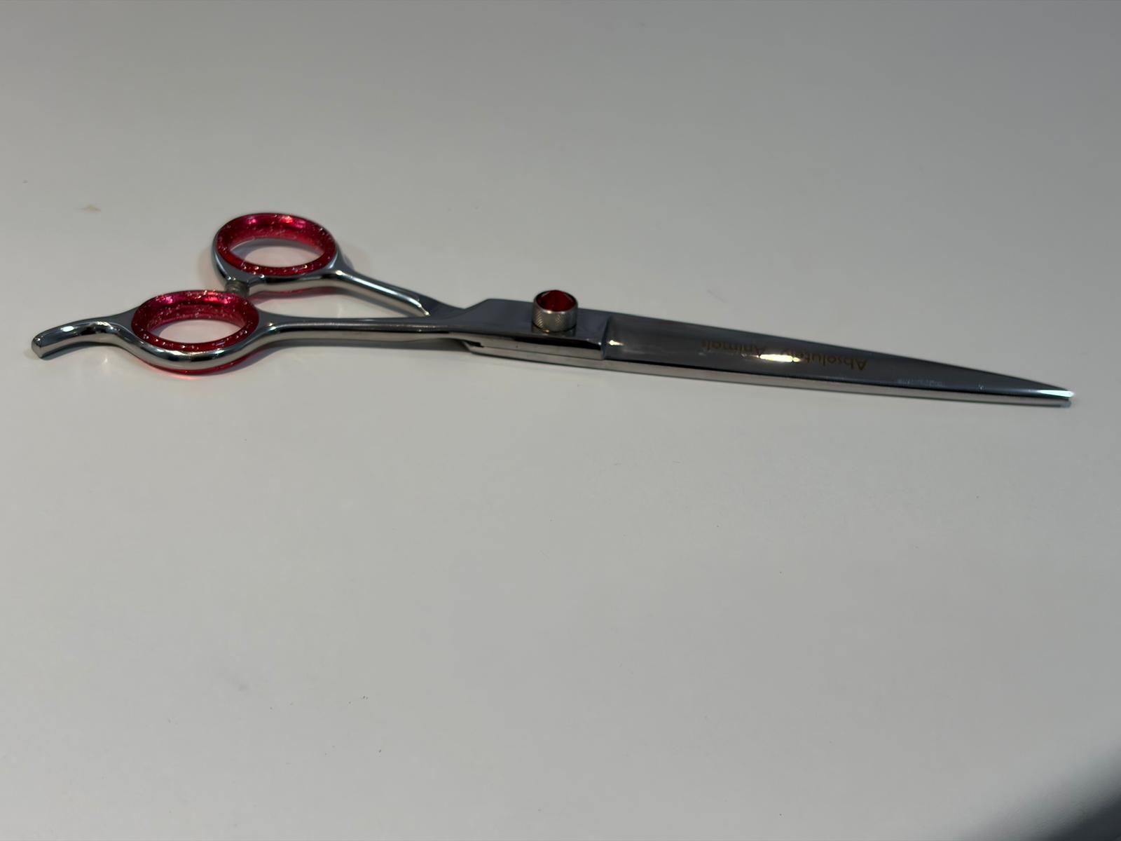 Professional Straight Shears