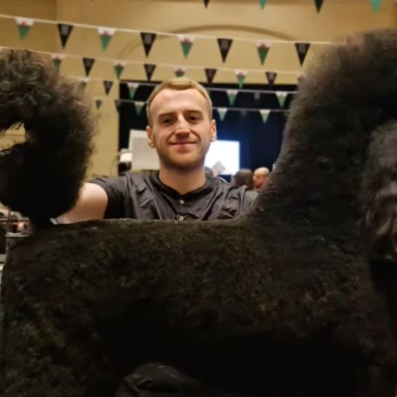 The Welsh Grooming Show