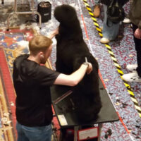 Callum Anderton welsh grooming Callum Anderton welsh grooming