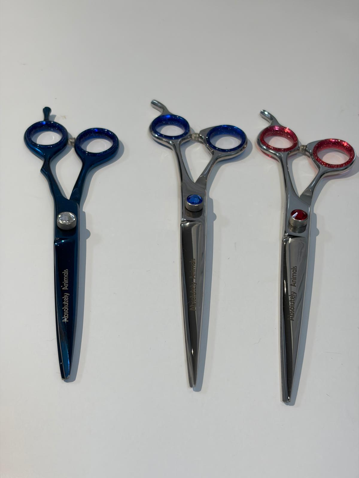 Professional Straight Shears