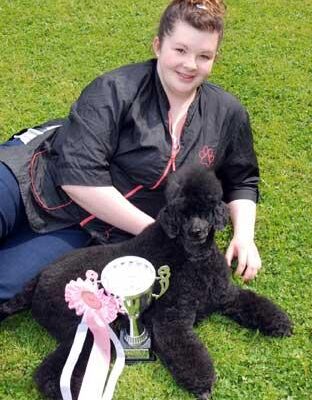 2010 toy poodle first place 2010 toy poodle first place
